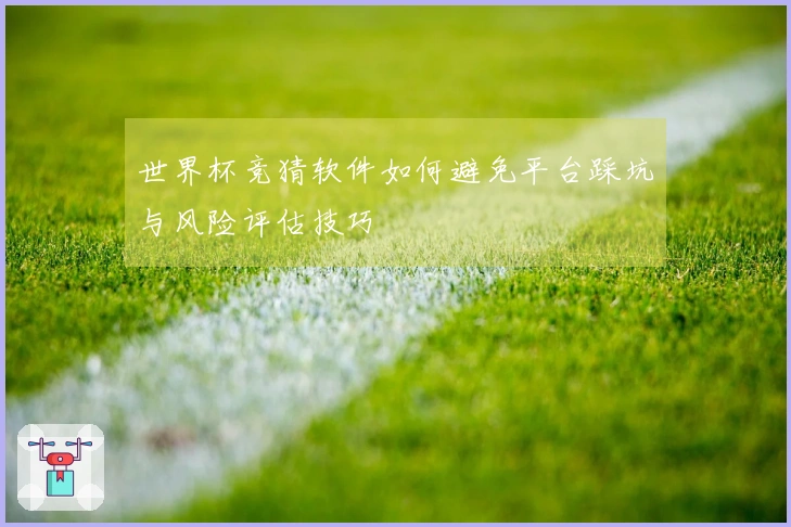 世界杯竞猜软件如何避免平台踩坑与风险评估技巧