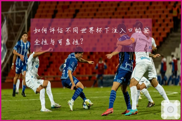 如何评估不同世界杯下注入口的安全性与可靠性？