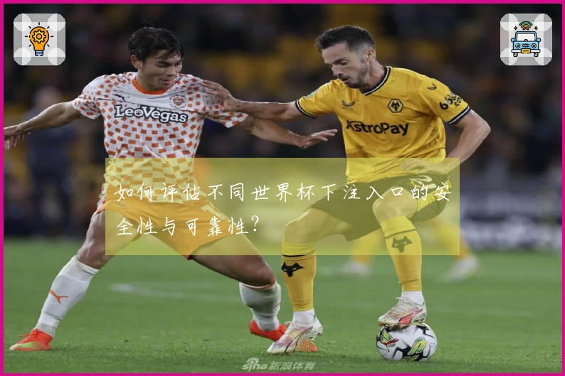 如何评估不同世界杯下注入口的安全性与可靠性？